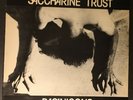 SACCHARINE TRUST - PAGANICONS - Original 1981 First Pressing - SST 006 - 45 RPM