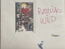 GIRLSCHOOL - RUNNING WILD LP VINYL ORIGINAL 1985 NICE COPY