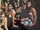 Jimi Hendrix Experience “Electric Ladyland” Vinyl LP
