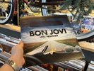 Bon Jovi ‎– Lost Highway (180g Vinyl LP) New