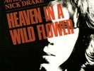 Nick Drake, Heaven In A Wild Flower vinyl LP, 1986 Best Of Compilation