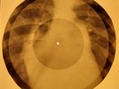 Rolling Stones - Happy X-RAY OF THE USSR X-RAY BONE RECORDS