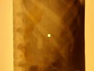 Beatles - For No One X-RAY OF THE USSR X-RAY BONES RECORD