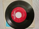 THE ROBINS / Whadaya Want? - If Teardrops Were Kisses / SPARK 45 rpm