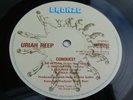 Uriah Heep CONQUEST 1980 UK LP 1st With Tour Programme MINT MINUS AUDIO