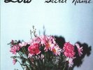 Low ‎Secret Name 2x Vinyl LP Record  indie slowcore legends  2 bonus songs  NEW