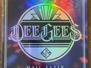 Dee Gees - Hail Satin LP RSD 2021 Vinyl Foo Fighters Sealed