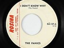 Garage Mod 45 - Panics - I Don't Know Why - Rosina - mp3 - rare