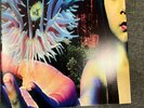 The Future Sound Of London ?- Lifeforms 2 x LP Vinyl Album CLASSIC FSOL Record