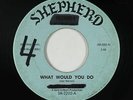 Doo-Wop 45 - Beau-Jives - What Would You Do - Shepherd - mp3