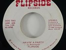 Flipside 