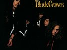 The Black Crowes - Shake Your Money Maker [LP] [Vinyl] NEW, a little dented slip