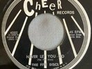 DOO WOP 45 FIVE DISCS CHEER 4002 (1st Press) NEVER LET YOU GO/THAT WAS THE TIME