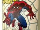 The Amazing Spider-Man 1972 Vinyl Buddah Records 1st Press