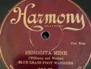 78rpm Jazz Blue Grass Foot Warmers Harmony 206 Senorita Mine/How Could I? E