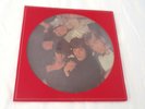 The Rolling Stones Picture Disc Stereo Decca Records 30010 Made in France 1979