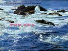 RCA | Munch, Boston Symphony Orchestra - Debussy: La Mer/Ibert: Port Of Call LP