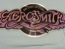 Aerosmith Logo Picture Disc 45 record Dude Looks Like A Lady   Monkey On My Back