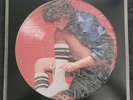 Picture Disc LP Vinyl Album 1978 Limited Ed. - Linda Ronstadt  Living in the USA