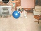 JULIA JACKLIN Don't Let the Kids Win (Love Record Stores 2021) LP VINYL Europe