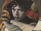 Simply Red picture disc LP vinyl album record Picture Book UK
