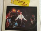 N785 Vinyle 33 Tours The Modern Lovers Live i'm a Little dinosaur  édition 1977
