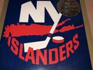 ny islanders, vinyl, new, sealed