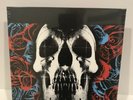 Deftones - Self Titled - New Vinyl Pressing