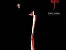 Steely Dan - Aja