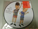 The Beavis and Butt-Head Experience vinyl Picture/Music Disc LP 1993 Geffen MTV