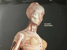 Ron Geesin & Roger Waters - Music From The Body (LP)