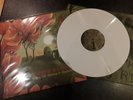 Andrew Wasylyk Balgay Hill Morning In Magnolia Vinyl MINT CONDITION Limited