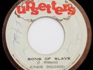 Junior Delgado SONS OF SLAVE / The Upsetter SONS OF DUB  Killer roots 45 Listen