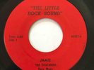 THE COACHMEN Dave Mayo Jamie / Stand By Me THE LITTLE ROCK SOUND Arkansas Garage
