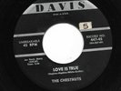 Doo Wop 45 THE CHESTNUTS 