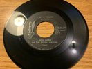 GARAGE 45 KING JAMES AND ROYAL JESTERS I GET A FEEELING PLATO W. VIRGINIA EXC