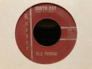 The Pawns South Bay Pawn Exeter 45 Bobby Fuller Garage Rock  El Paso