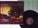 FLEETWOOD MAC TANGO IN THE NIGHT WARNER P-13490 JAPAN OBI VINYL LP