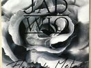 LP Jad Wio ‎– Fleur De Métal  LP Transparent Marbré  NEAR MINT   LIMITED EDITION