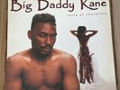Big Daddy Kane Taste Of Chocolate 1990 Cold Chillin’ Vinyl LP