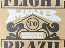 Madlib -- Medicine Show Vol. 2 Flight To Brazil (2xLP Repress)