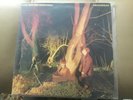Echo and the Bunnymen LP Crocodiles, 1980 US Sire original, VG+, free shipping
