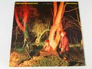 ECHO and THE BUNNYMEN - Crocodiles - 1980 Sire  VINYL LP - SRK 6096