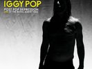 Iggy Pop - Post Pop Depression - Limited Edition Numbered 3 x Vinyl LP *NEW*