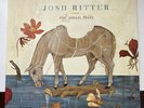 Josh Ritter The Animal Years LP Vinyl Record First Pressing Rare OOP Americana