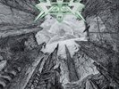 Vektor-Outer Isolation VINYL NEW