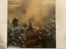 Steely Dan Katy Lied (“KENDUN” In deadwax)