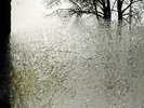 Bon Iver - For Emma, Forever Ago - LP Vinyl - CAD2809 - NEW