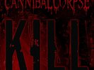 Cannibal Corpse Kill LP Limited Edition 180g Black Vinyl 2 Side Poster