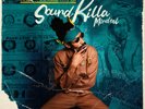 Mr Williamz-Soundkilla Mindset VINYL NEUF